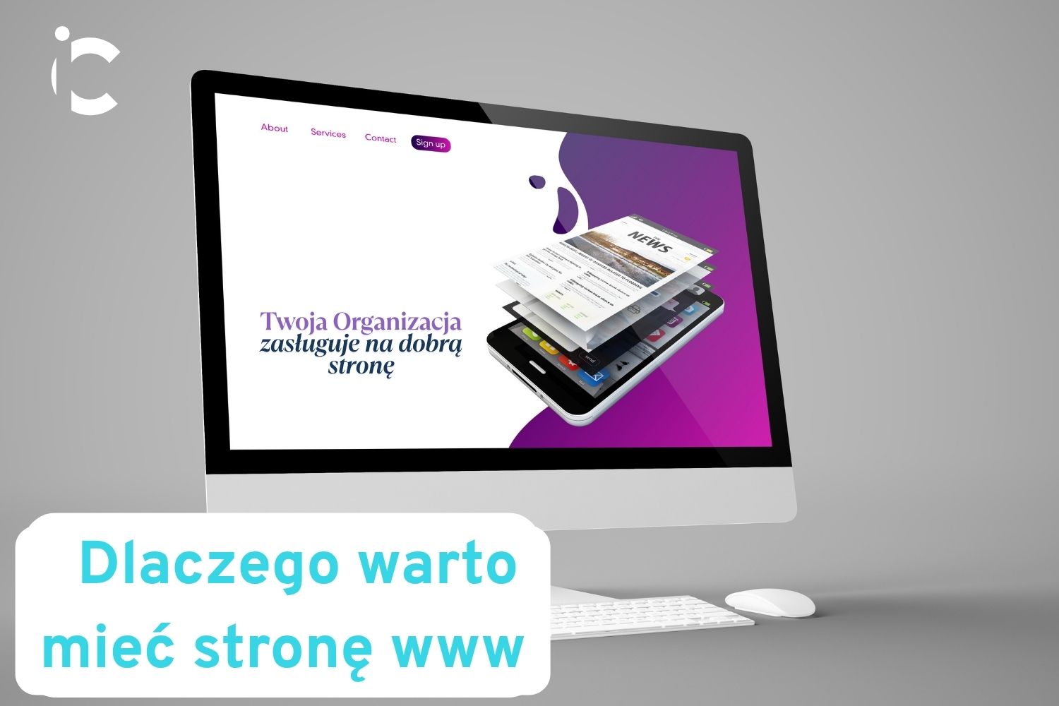 strona internetowa ngo